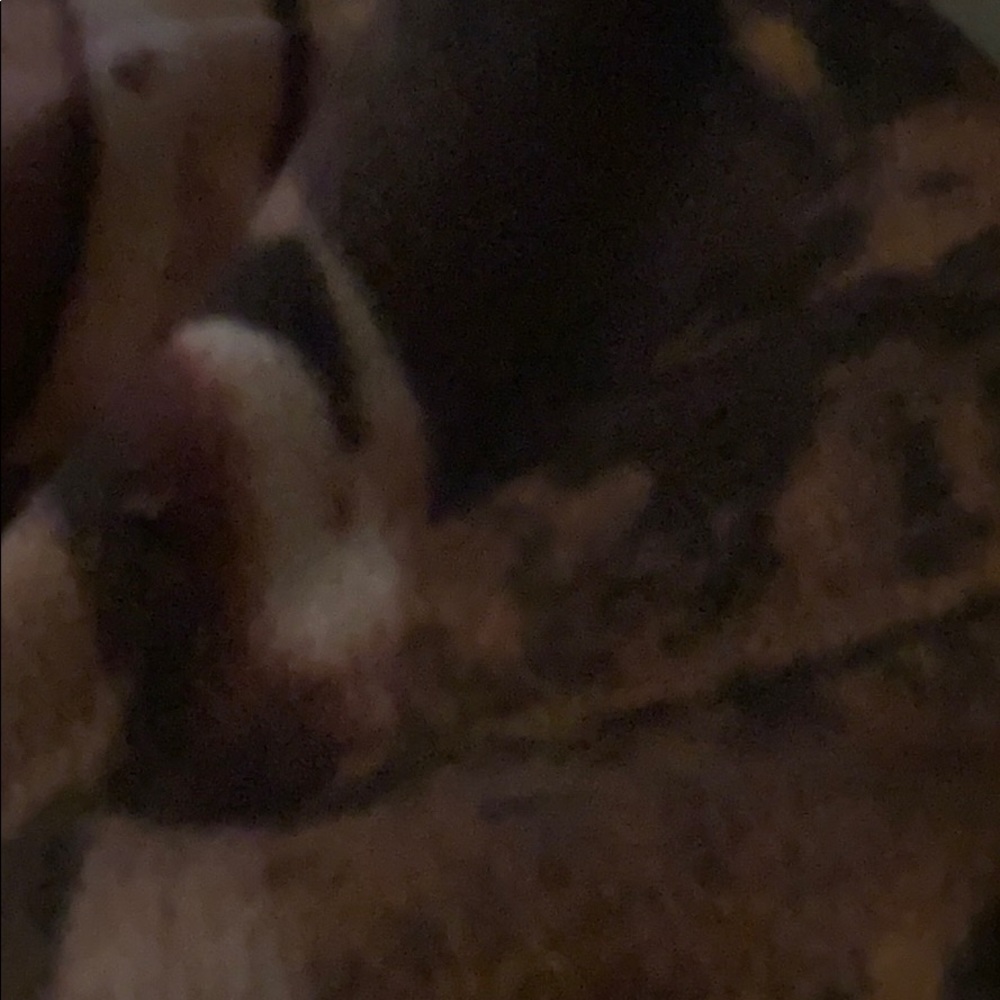 Meet your Posher, Tina